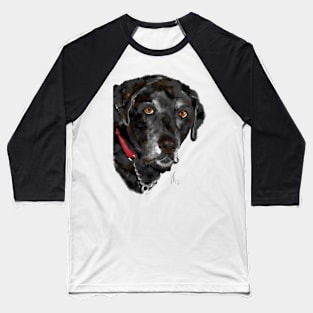 Black Labrador Retriever Dog Baseball T-Shirt